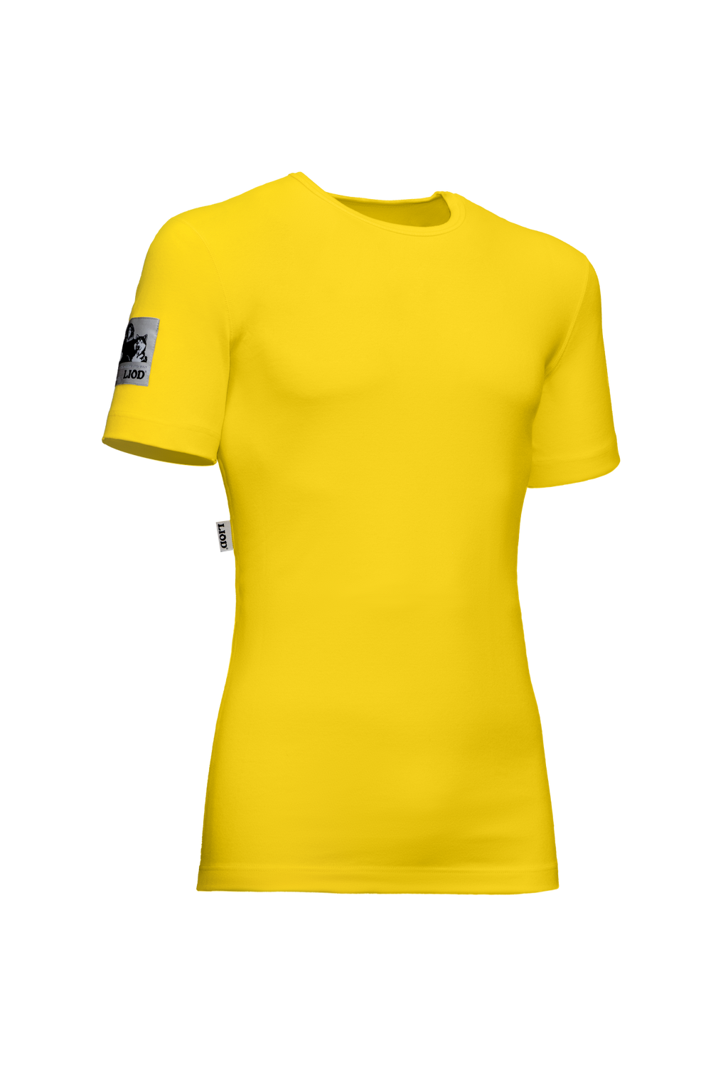 504-Giallo